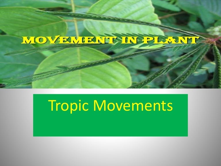 Plant movements