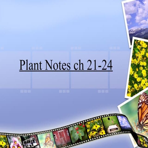 Plant Notes Ch 21 24