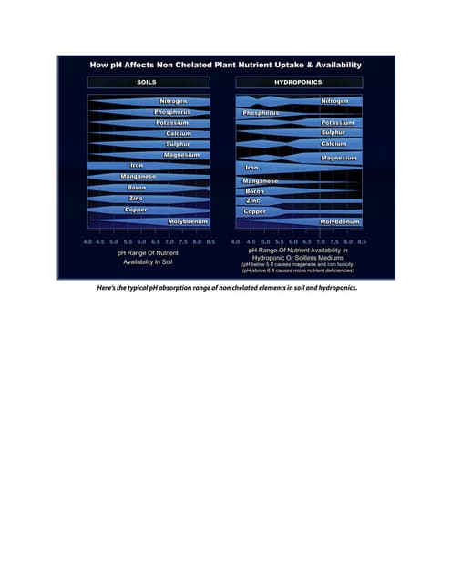Plant Nutrient Uptake And Availability Docx Plant Nutrient Uptake And Availability Docx