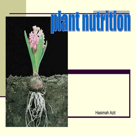Plant Nutrition