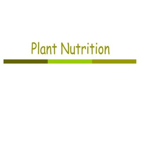 Plant nutrition