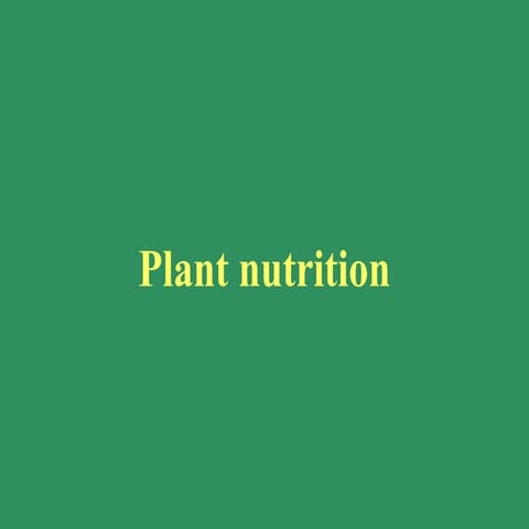 Plant Nutritionafsafasdfafasdfsdafads.ppt