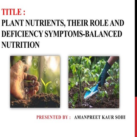 plant nutrition, their role and deficiency symptoms - balanced ...