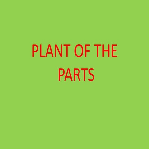 Plant of