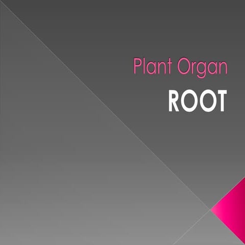 Plant organ