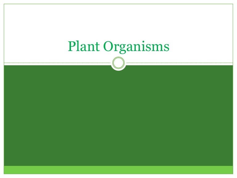 Plant organisms