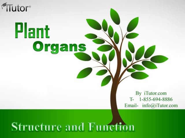 Plant Organs