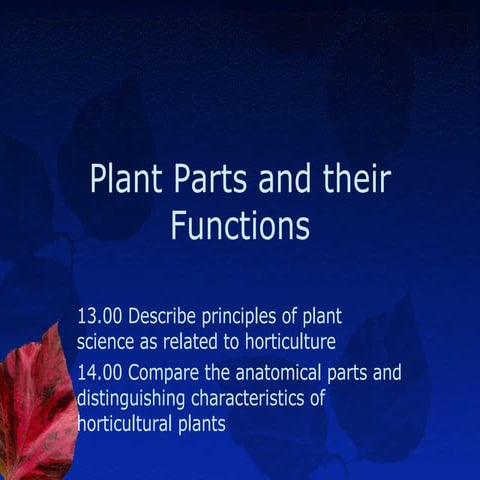 Plant  Parts