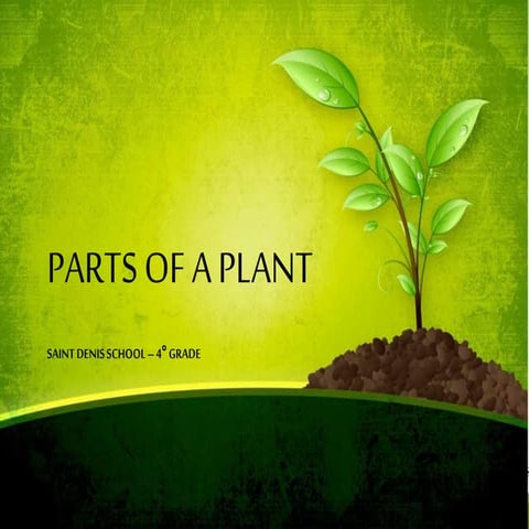 Plantparts 131030033449-phpapp01