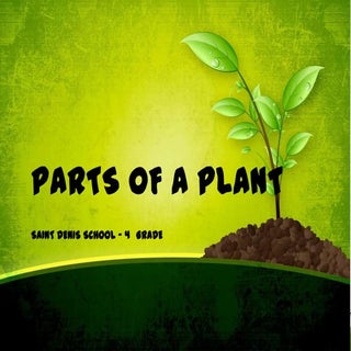 Plant parts