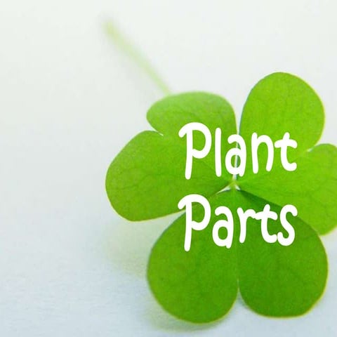 Plant parts 