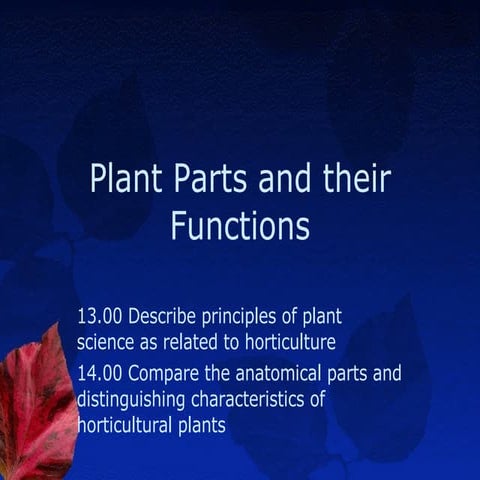 Plant Parts3