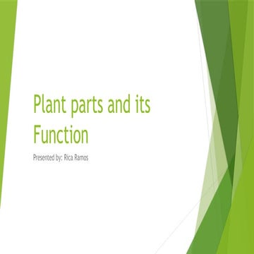 Plant parts and its Function explanation about the parts of plants | PPTX