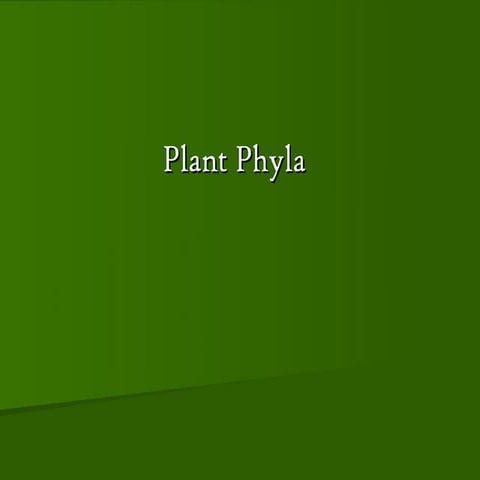 Plant Phyla