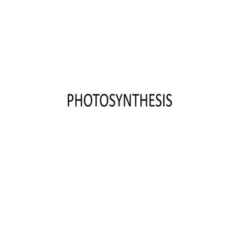 Plant physio photosynthesis