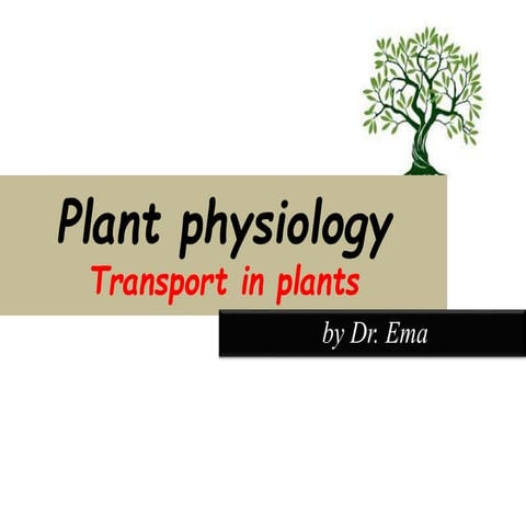 Transport in plant (Plant physiology)