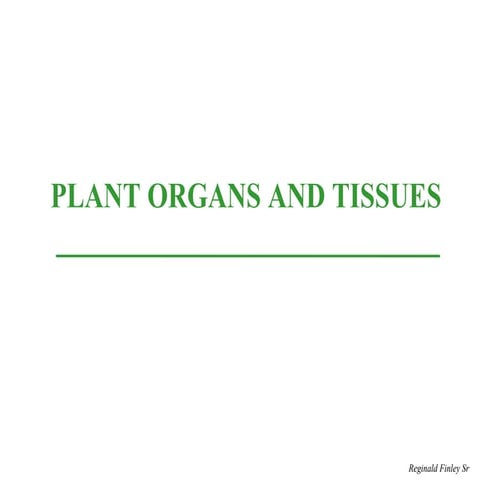 Plant Organs and Tissues Presentation