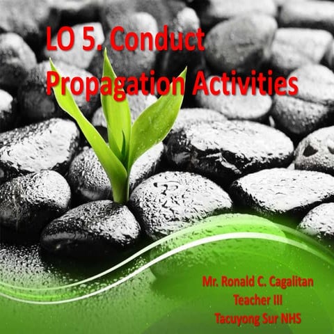 Plant propagation.pptx