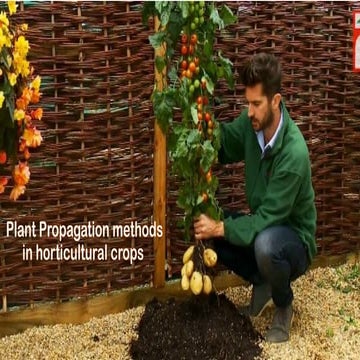 PLANT PROPAGATION and its types in agriculture.pptx