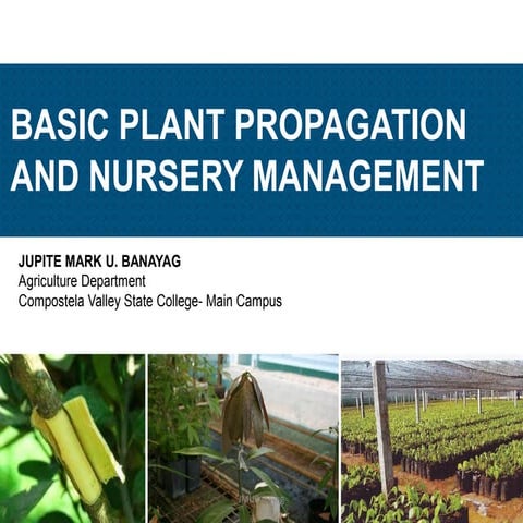 Plant Propagation and Nursery Management