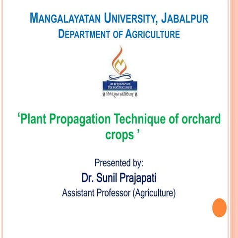 Plant Propagation Methods 