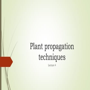 Plant propagation techniques.pdfPlant propagation techniques.pdf