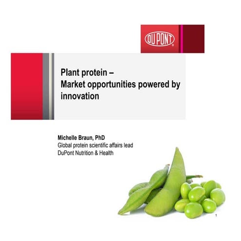 Plant protein – Market opportunities powered by innovation