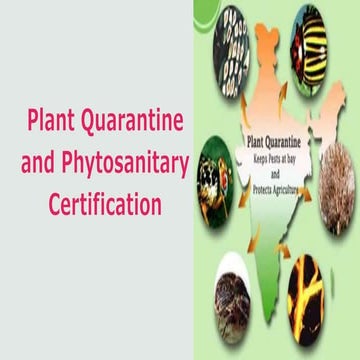 Plant quarantine and phytosanitary certification
