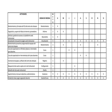 Plan_Trabajo_Ingeniero_Sistemas_Tsamajain_2025.pdf