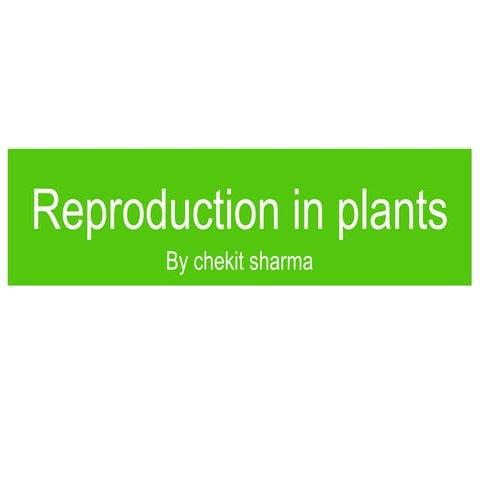 Plant reproduction