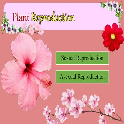 Plant reproduction การสืบพันธ์ของพืชดอก