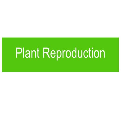 Plant reproduction (1)