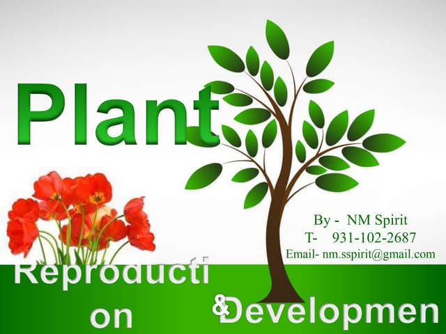 Plant Reproduction & Development