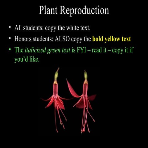 Plant Reproduction Notes