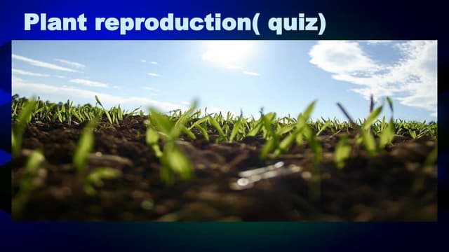 Plant Reproduction Quiz By Divya Kumar Ppt Plant Reproduction Quiz By Divya Kumar Ppt