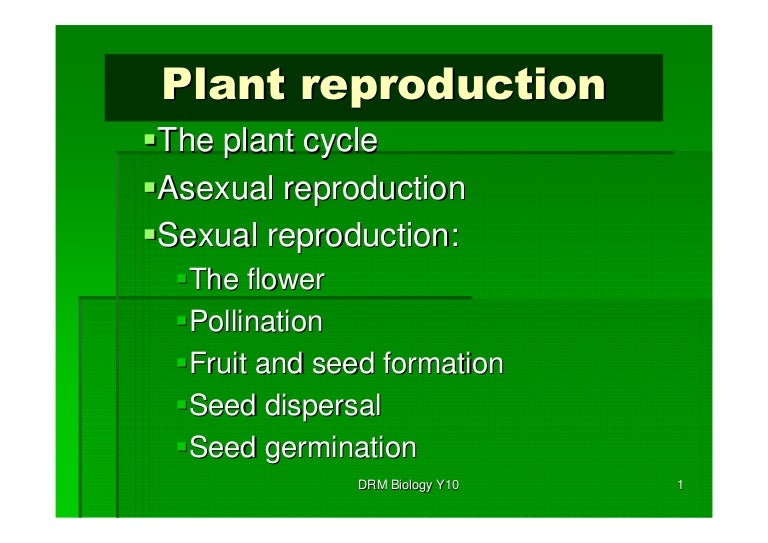 Plant Reproduction Y10