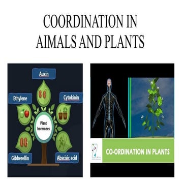 PLANT RESPONSES coordination in plants, the concept of tropism