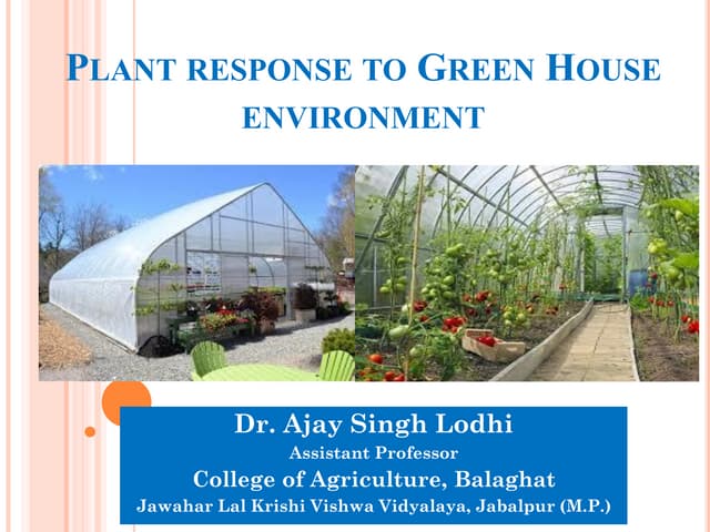 Plant response to green house environment