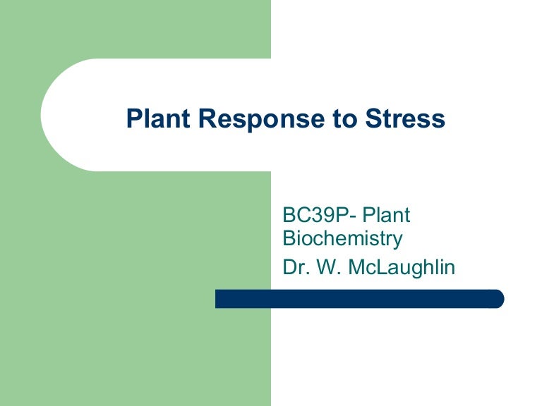 Plant Response To Stress