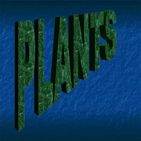 Plant Review