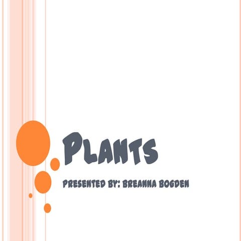 Plants