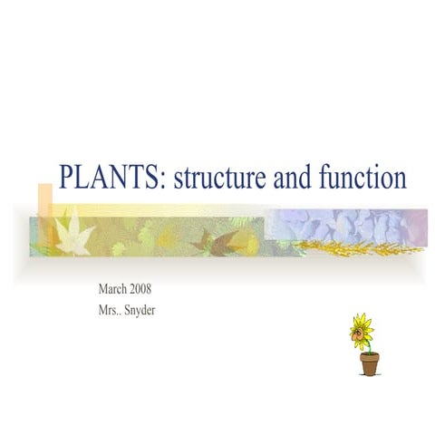 Planturrias del Mathius S.A.