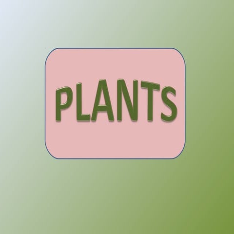 Plants