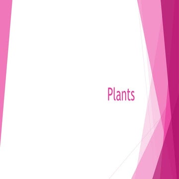   Plants