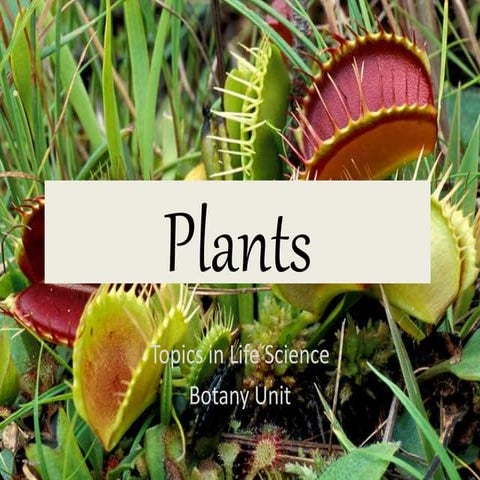 Plants