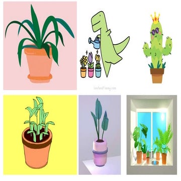 Parts of Plants