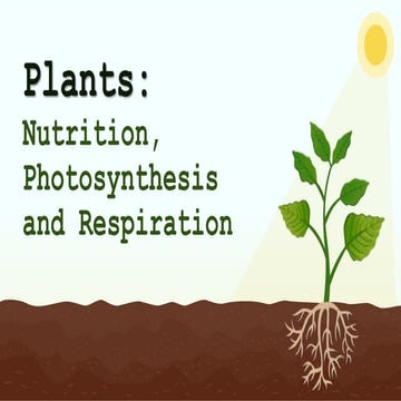 plants-nutrition-photosynthesis-and-respiration.pdf