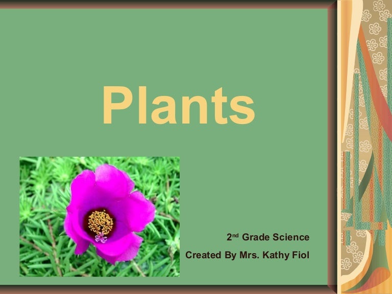 second grade science plants