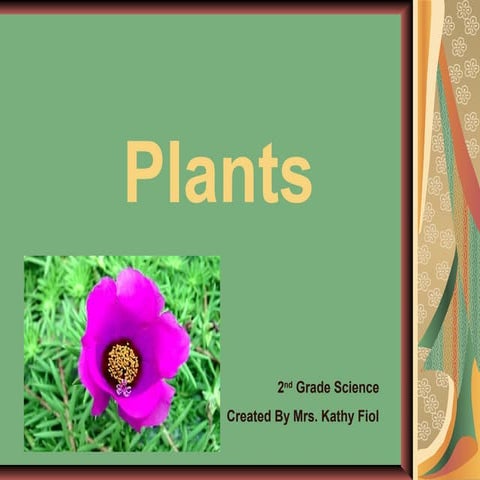 Second Grade Science: Plants