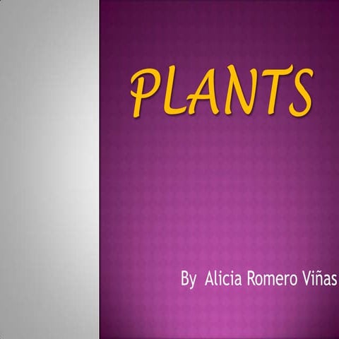 Plants by Alicia